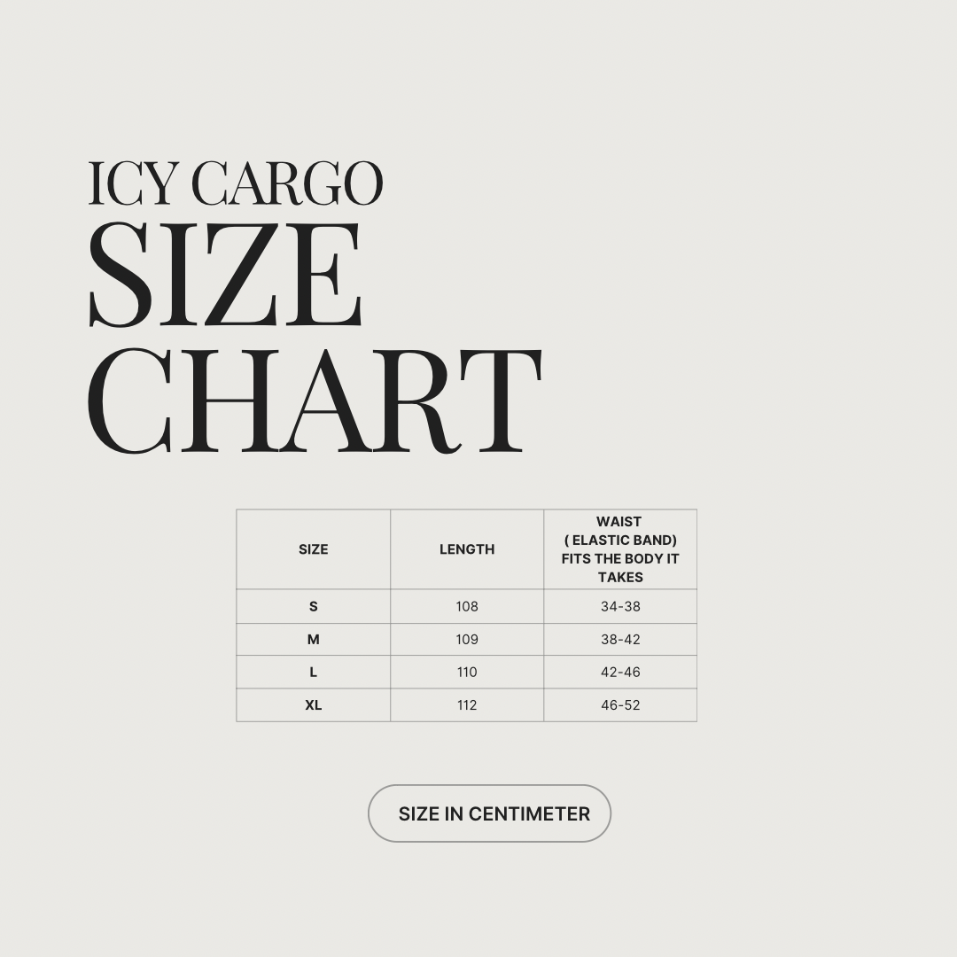 BAGGY ICY CARGO